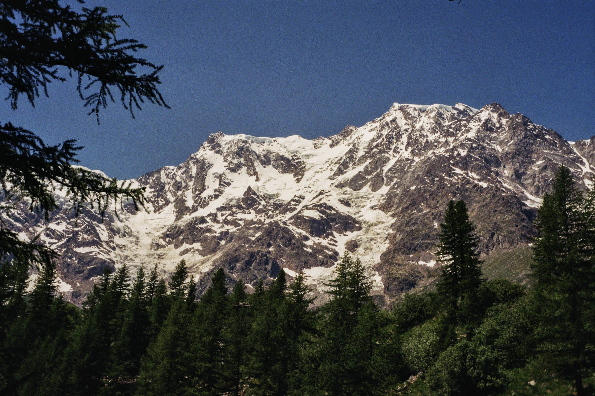 Una cima innevata sopra un bosco di conifere, in una giornata limpida